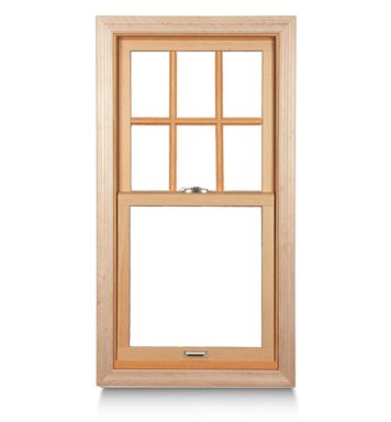 Replacement Windows 