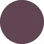 boysenberry-1024x1024