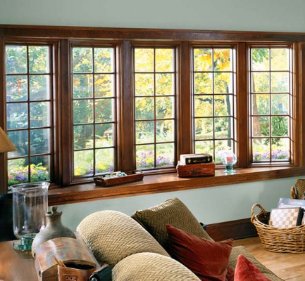 Bay & Bow Windows